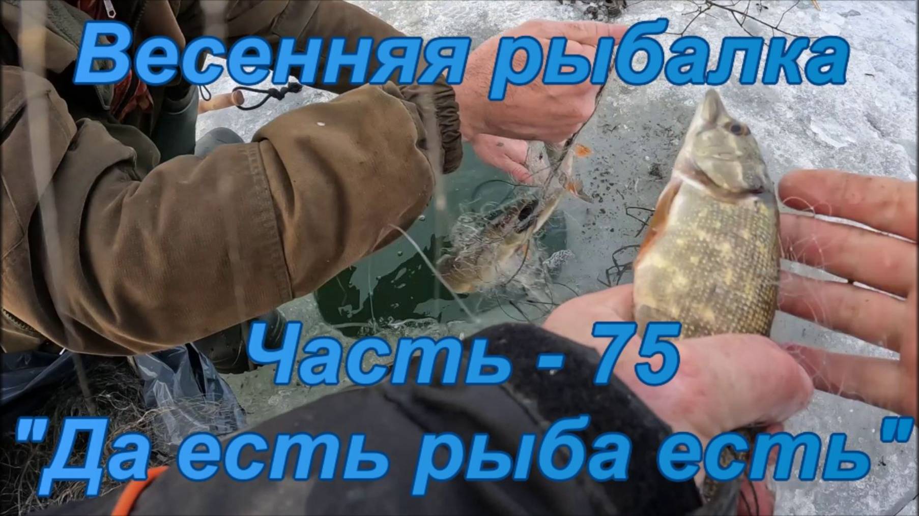 Весенняя рыбалка. Часть - 75. "Да есть рыба есть". смотреть онлайн