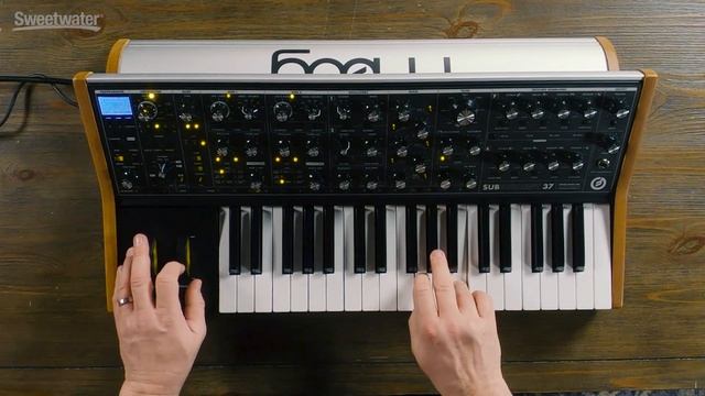 Moog Subsequent 37 Sweetwater Bonus Banks — Daniel Fisher смотреть онлайн
