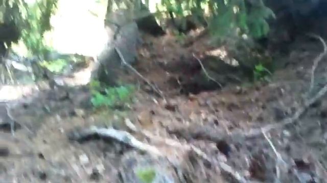 Як ростуть дерева в Швеції. Маленький екскурс у минуле. смотреть онлайн