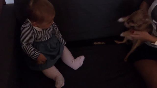 Клементина и буся смотреть онлайн