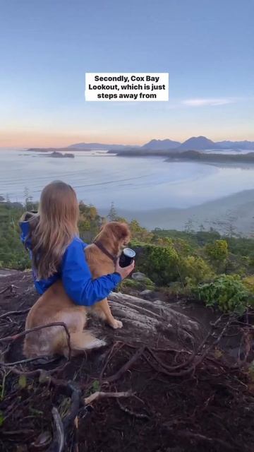 Check out our guide Top Tofino Hikes! 🌲🥾 #travel #nature #hike #adventure #shorts #reels #fyp смотреть онлайн