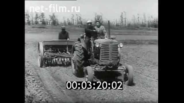 1963г. Тихорецк. совхоз Красноармейский. Ростовская обл. смотреть онлайн