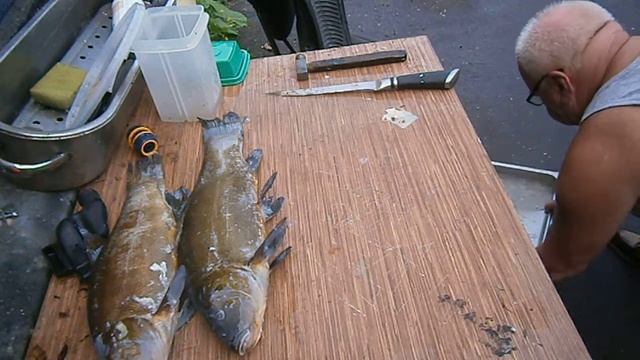 Viss Kas No Buma-Kā Pareizi Notīrīt Līni Lai Nebūtu Dūņu Piegaršas