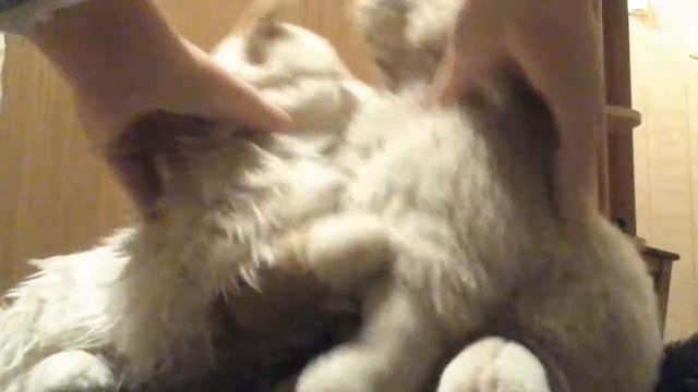 Фильм: Любовь. Часть: 1. Знакомство! смотреть онлайн