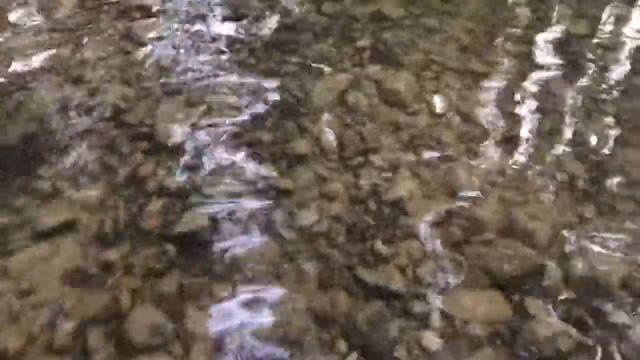 прогулка по ручью и тихой белой воде под аккомпанемент фортепиано. шум воды смотреть онлайн