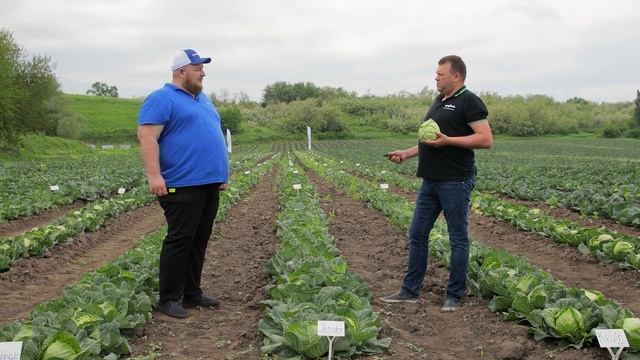 ДЖЕТОДОР F1 | Овощная усадьба смотреть онлайн