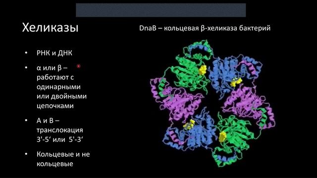Цитология . Лекция 9. Репликация смотреть онлайн