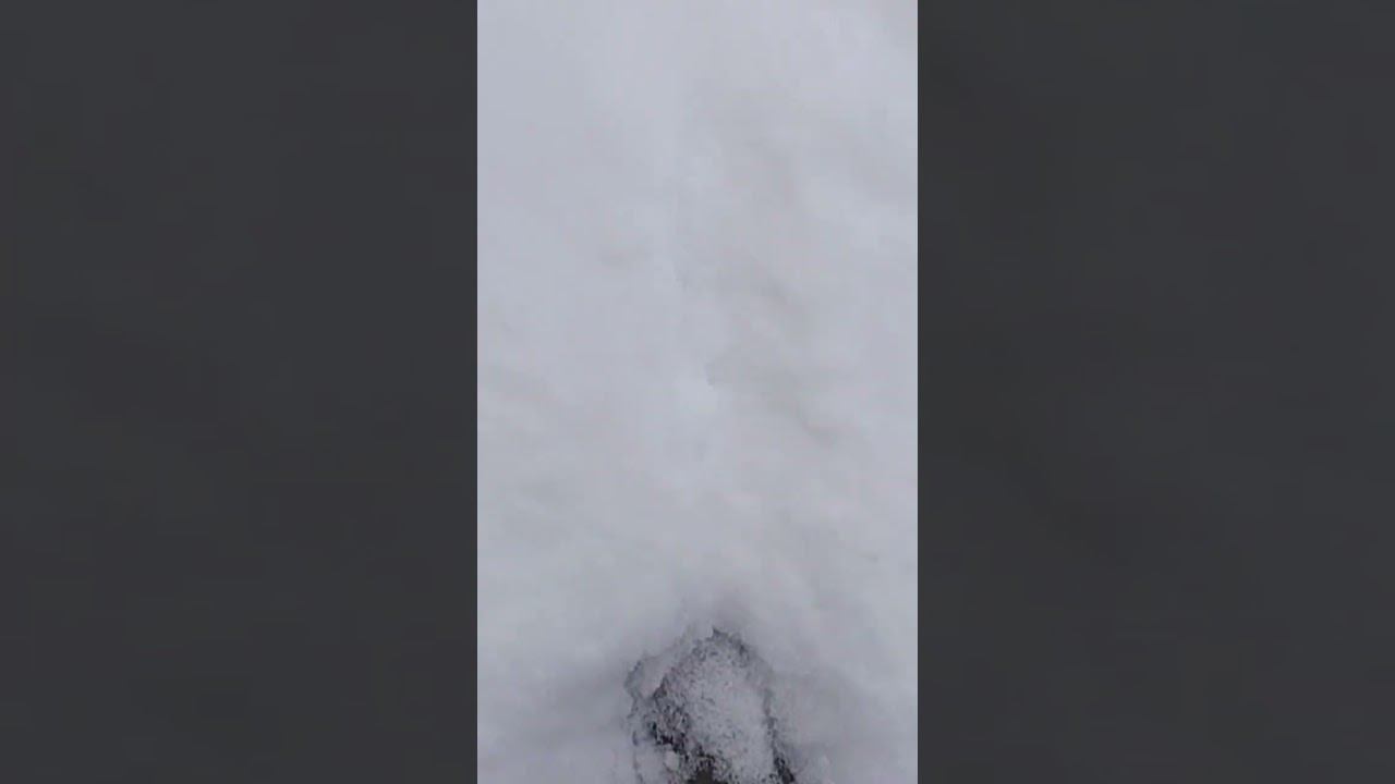 Пушистый снег, снежок ❄❄❄ смотреть онлайн