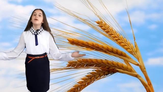 Літературний вернісаж(4) . М.Романіка 