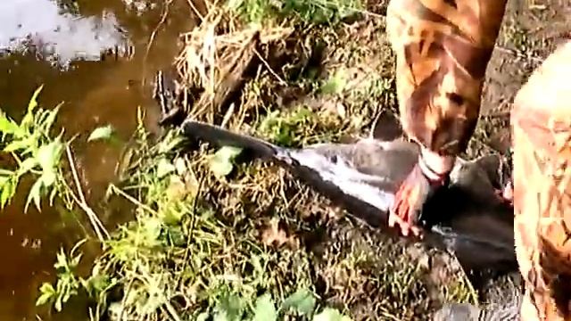 c3ea4f1cdf 480 смотреть онлайн