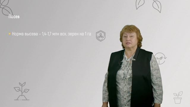 6 4 Технологии возделывания гороха смотреть онлайн