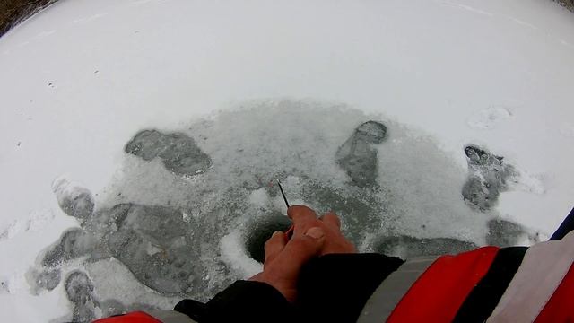 р Сула 9 012022р  Кльов зовсім слабий