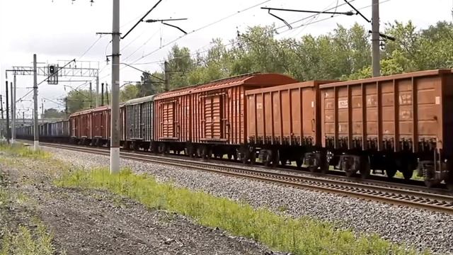 Давай зап-сиб! песня про поезда смотреть онлайн