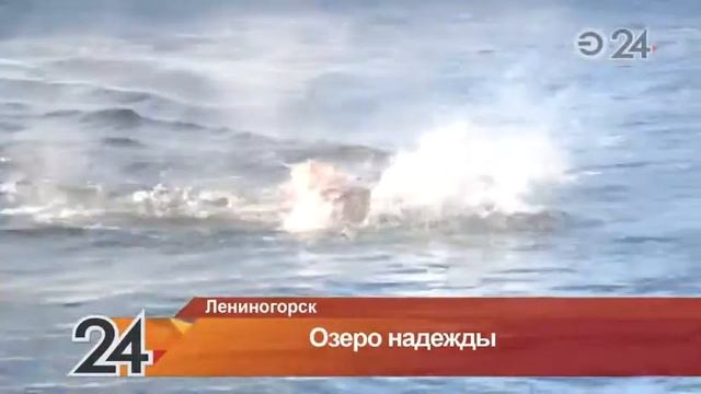 В Лениногорске осушили пруд, где тренировались «моржи» смотреть онлайн