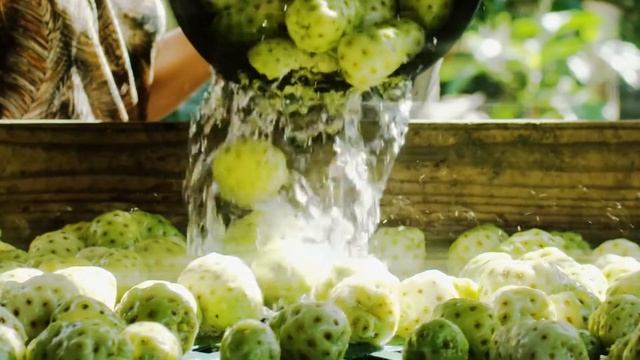 Красивое видео о Таити смотреть онлайн