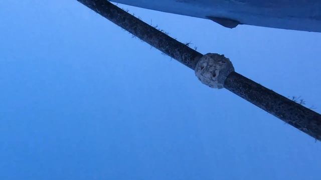 Морская прогулка на моторной яхте. смотреть онлайн