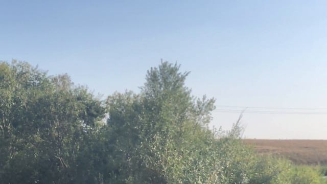 Гуси и утки в Старомусино Республика Башкортостан