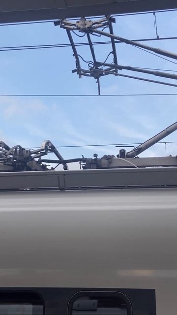 Сапсан: контактная  подвеска и электроток