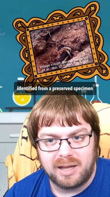 Amazon Weasel does not come with Prime смотреть онлайн