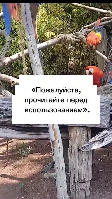 Анекдоты прикол шутки юмор смешные смотреть онлайн
