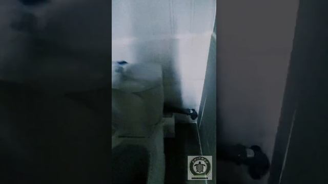 Автомойка и шиномонтаж за два месяца своими силами смотреть онлайн