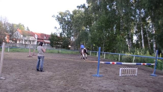 Тренировка по Конкуру Игрушка 07.07.2015 (ШВЕ Династия) смотреть онлайн