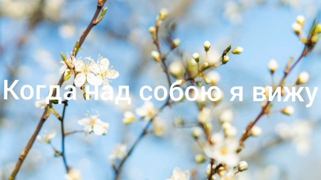 Когда над собою я вижу Христианская песня. смотреть онлайн