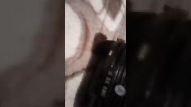 Обзор на гелик смотреть онлайн