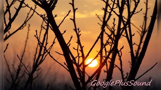 Lost Sky Music Sunset Leaf Buds Cherry Tree Tree Sky Clouds Audio York смотреть онлайн