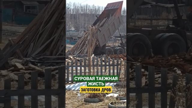 ГОТОВЬ САНИ, ПОКА РАК НЕ СВИСТНУЛ #позитив #shorts смотреть онлайн