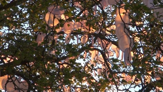 Celestial Fruit Tree смотреть онлайн