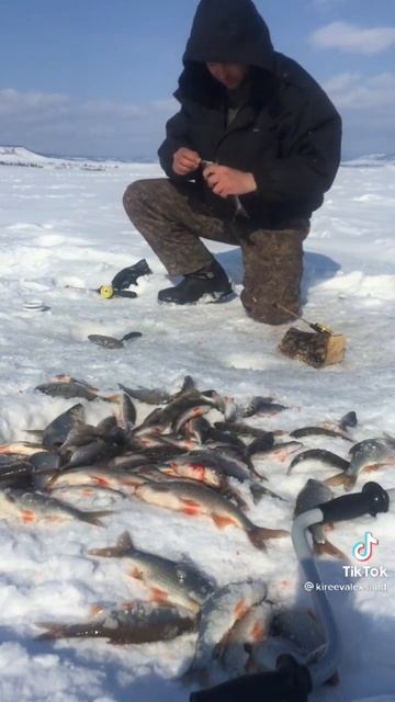 Рыбалка на плотву 2022#рыбалка #первый лед#природа #плотва#окунь#водохранилище#можайское#яузское