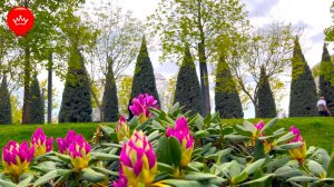 🤩2025 Парк Галицкого Обзорная прогулка апрель.