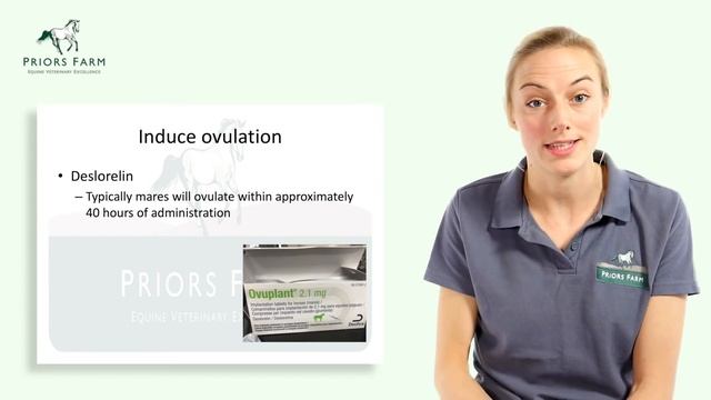 Preparing A Mare For Breeding - Artificial Insemination