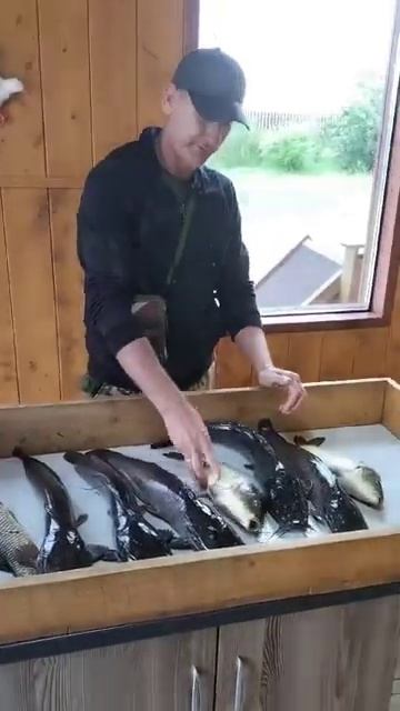 Интервью гостя.Навеска класс.РК «Чайка» приглашает на рыбалку. смотреть онлайн