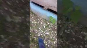 Падение бутылки с 9 этажа