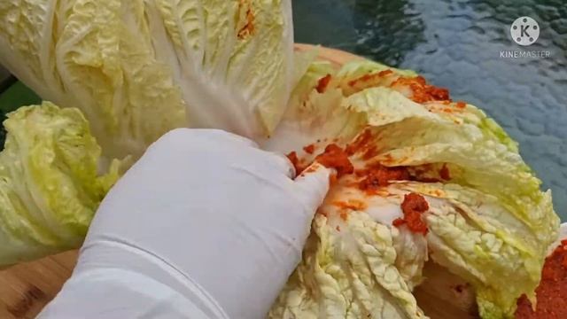The Art Of Kimchi (Cabbage Salad)