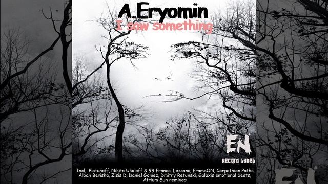 I Saw Something (Platunoff Breaks Remix)