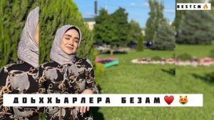 Бомбовая Песня Зезаг Исмаилова Доьххьарлера Безам😻🔥