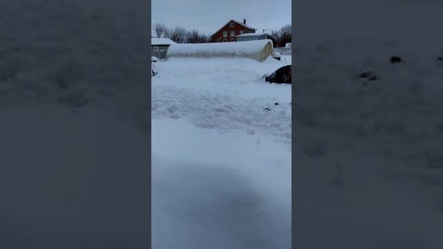 Новогодние забавы