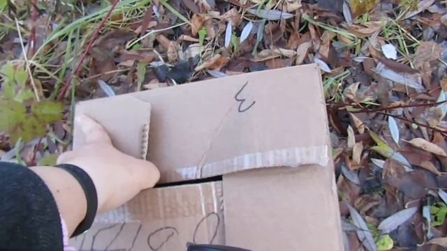выпуск вальдшнепа смотреть онлайн