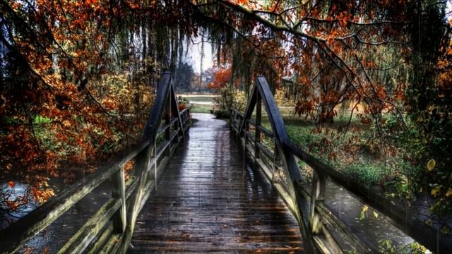 Rain On Forest Bridge | Rain Sounds | 2 Hours To Help Focus, Stress Relief, Relax, Sleep Better