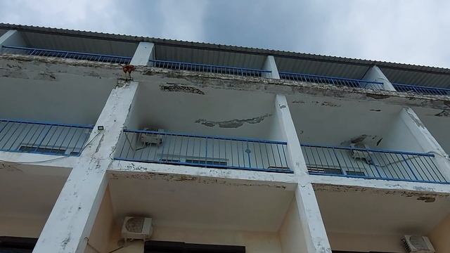Конец постройкам на береговой линии в Крыму. смотреть онлайн