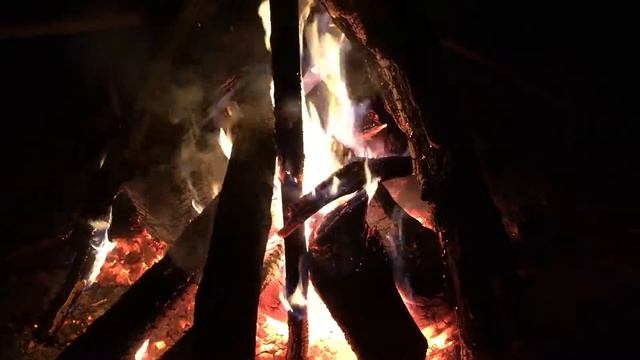 Лесной костер, night fire
