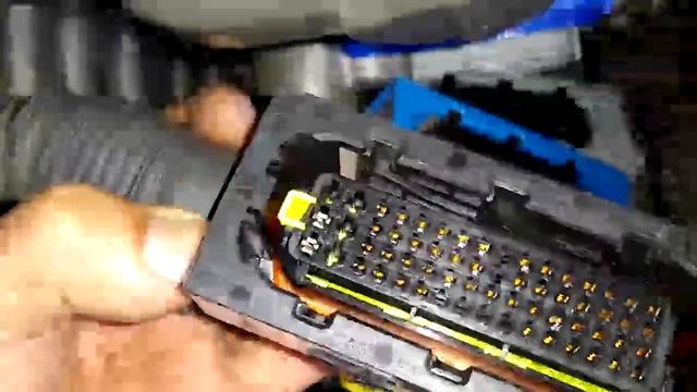 Conectores Do Modulo Do Motor MX 13 PACCAR  - DAF XF 105.460