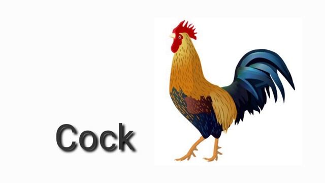 Pet animal names, pictures and sounds for kids | Learn farm animals | domestic animals смотреть онлайн