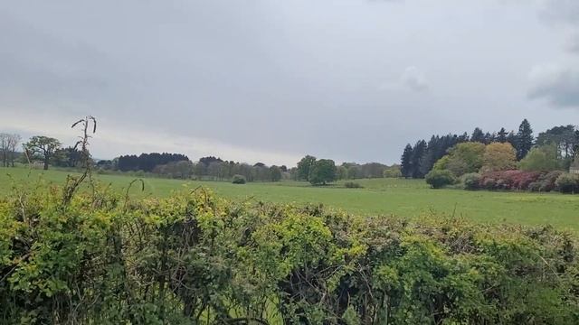 Watery Lane Part 1 - April Not July!!