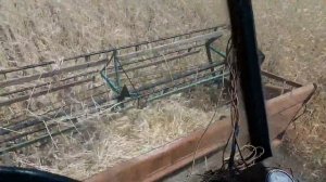 Комбайн Нива СК 5 уборка озимого ячменя