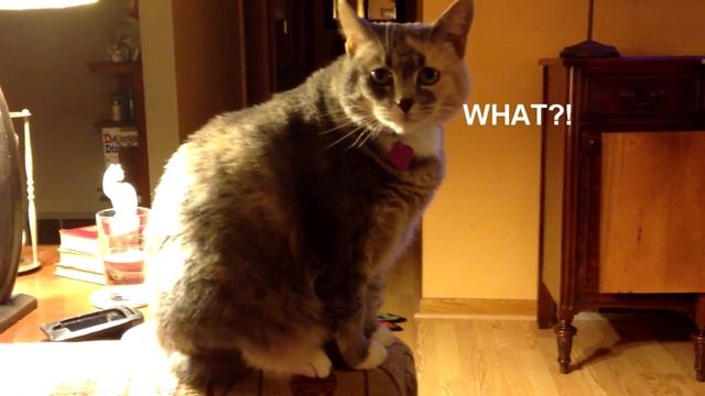 Sadie's Drinking Problem смотреть онлайн