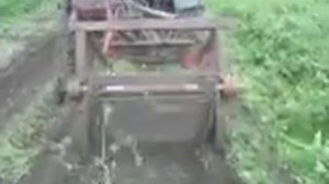 Транспортерная картофелекопалка для Т-40